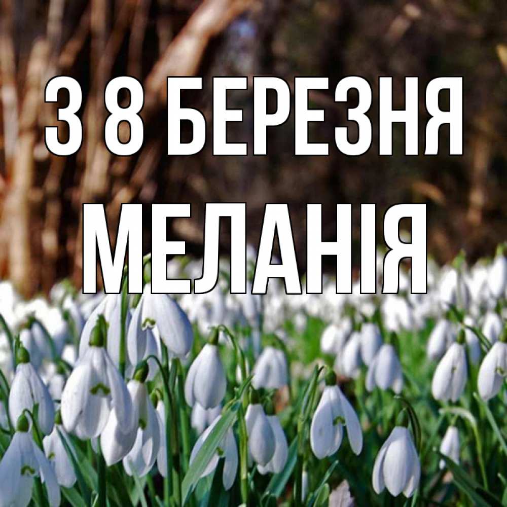 Открытка на каждый день з підписом, Меланія З 8 БЕРЕЗНЯ с подснежниками 1 Прикольна листівка з побажанням онлайн скачати безкоштовно 