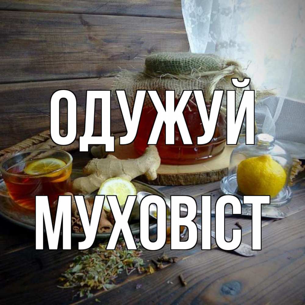 Открытка на каждый день з підписом, Муховіст Одужуй банка с медом Прикольна листівка з побажанням онлайн скачати безкоштовно 