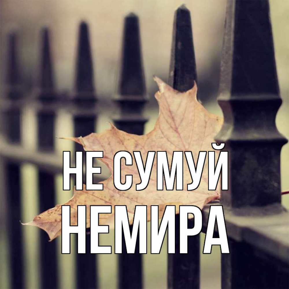 Открытка на каждый день з підписом, Немира Не сумуй лист клена Прикольна листівка з побажанням онлайн скачати безкоштовно 