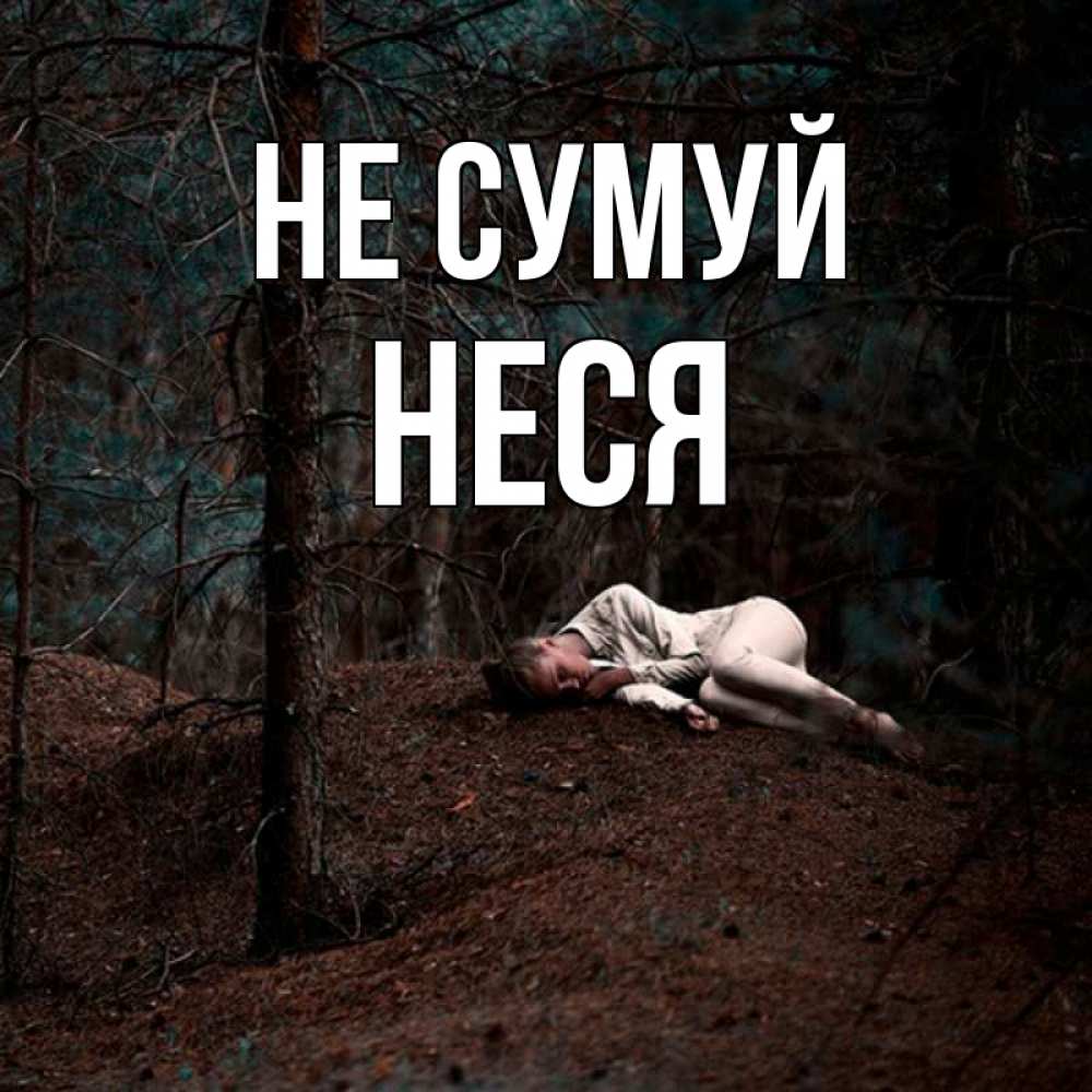 Открытка на каждый день з підписом, Неся Не сумуй лес Прикольна листівка з побажанням онлайн скачати безкоштовно 