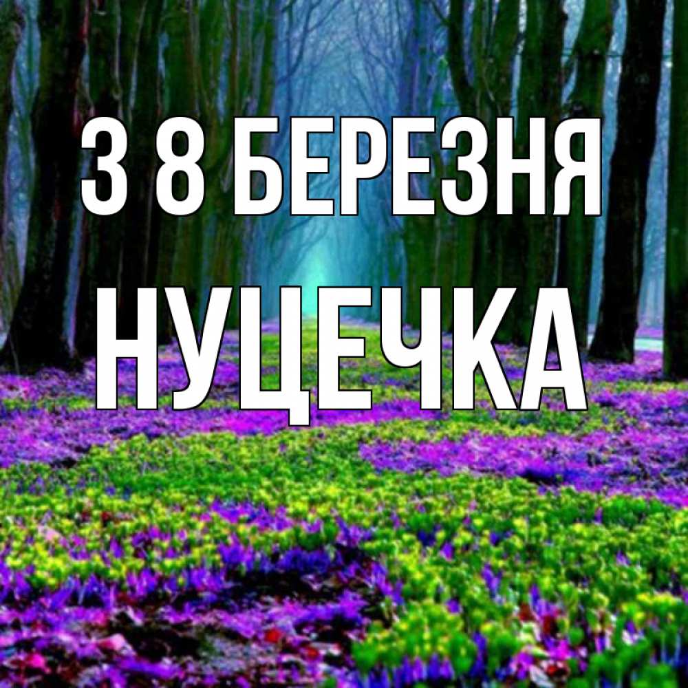 Открытка на каждый день з підписом, Нуцечка З 8 БЕРЕЗНЯ фиолетовые цветы в лесу 1 Прикольна листівка з побажанням онлайн скачати безкоштовно 