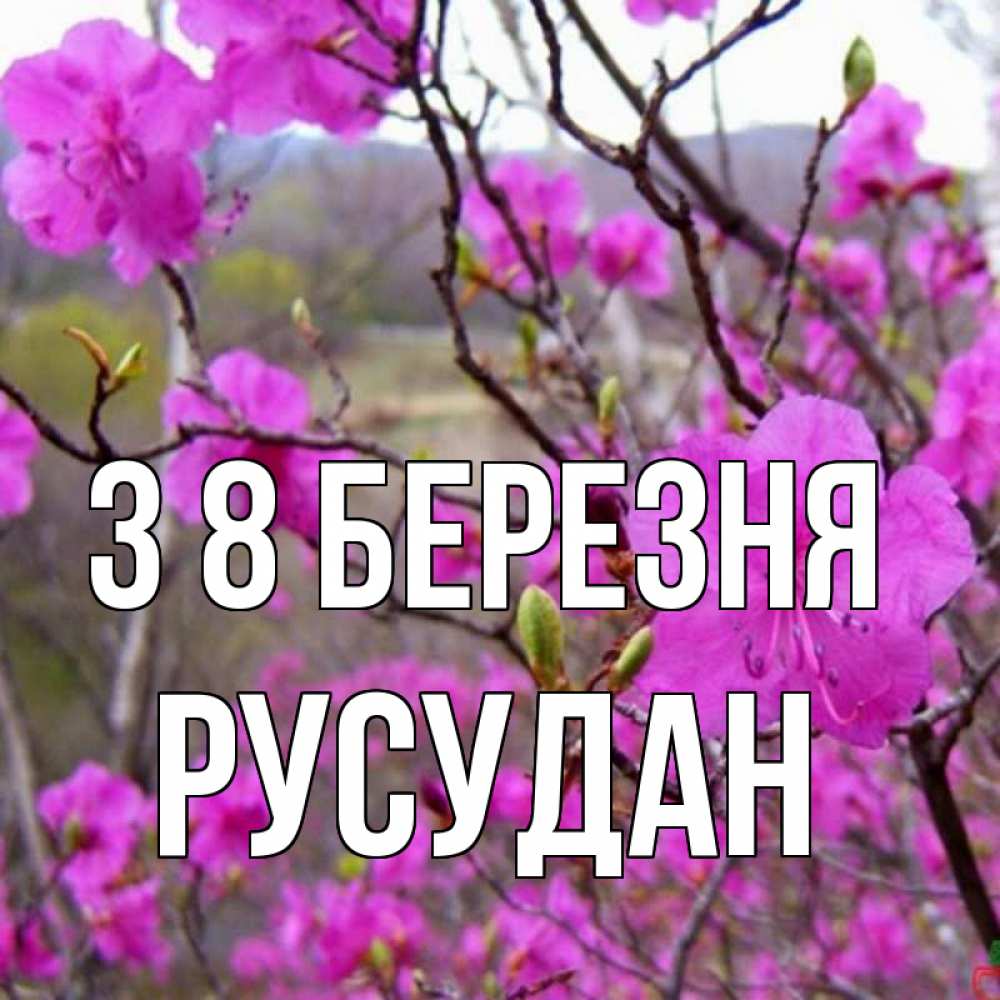 Открытка на каждый день з підписом, Русудан З 8 БЕРЕЗНЯ международный женский день Прикольна листівка з побажанням онлайн скачати безкоштовно 