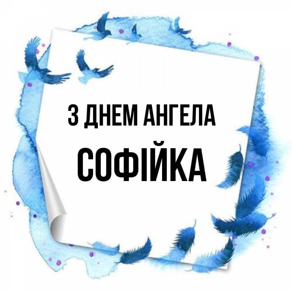 Открытка на каждый день з підписом, Софійка З Днем ангела красивые птицы летят Прикольна листівка з побажанням онлайн скачати безкоштовно 