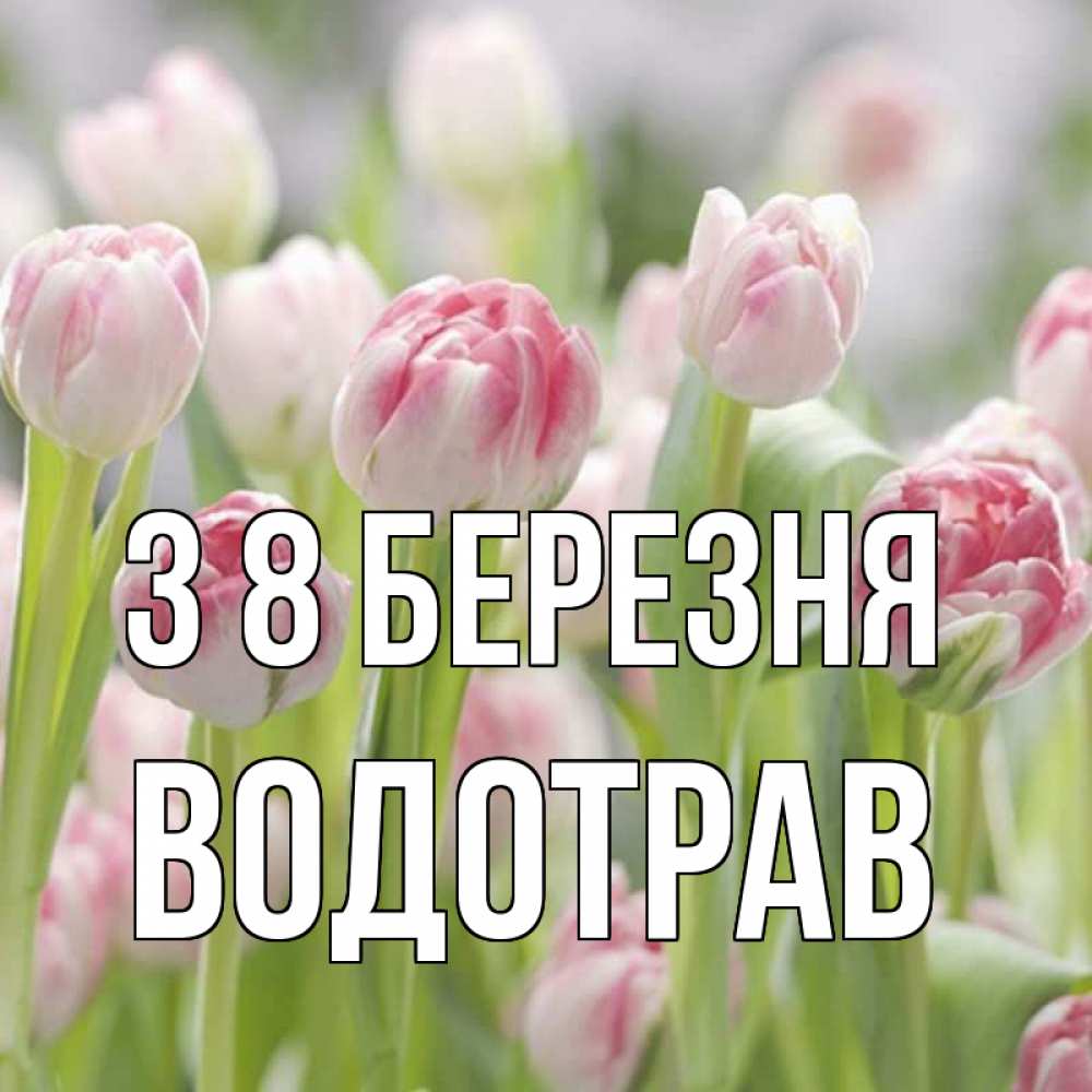 Открытка на каждый день з підписом, Водотрав З 8 БЕРЕЗНЯ цветы Прикольна листівка з побажанням онлайн скачати безкоштовно 