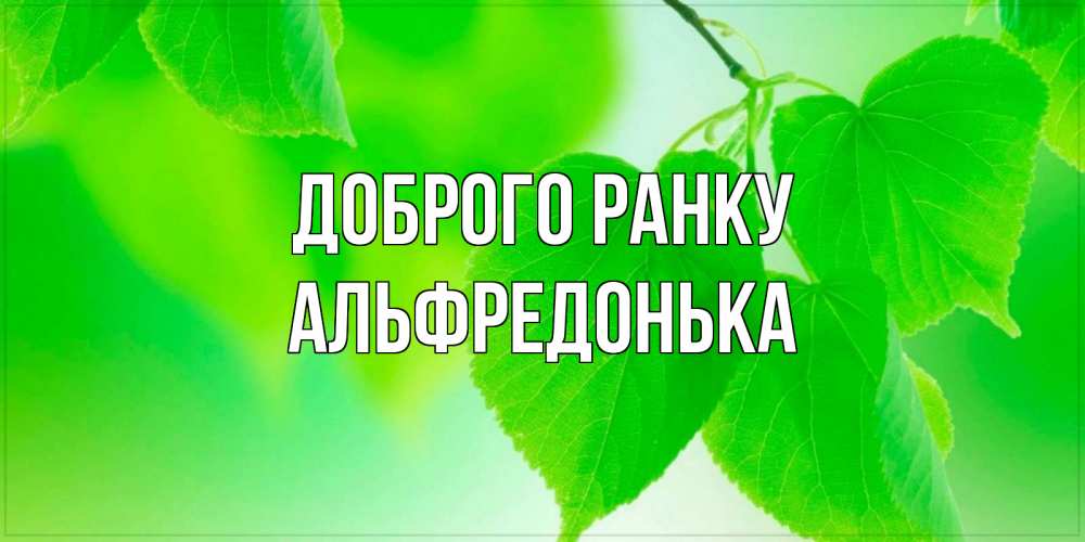 Открытка на каждый день з підписом, Альфредонька Доброго ранку доброе утро с березовыми листьями Прикольна листівка з побажанням онлайн скачати безкоштовно 