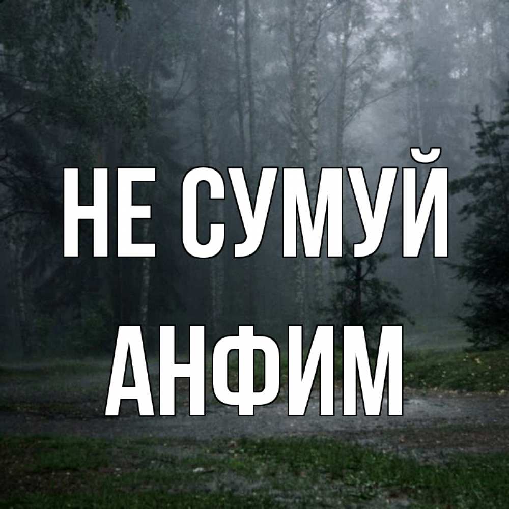 Открытка на каждый день з підписом, Анфим Не сумуй осень Прикольна листівка з побажанням онлайн скачати безкоштовно 