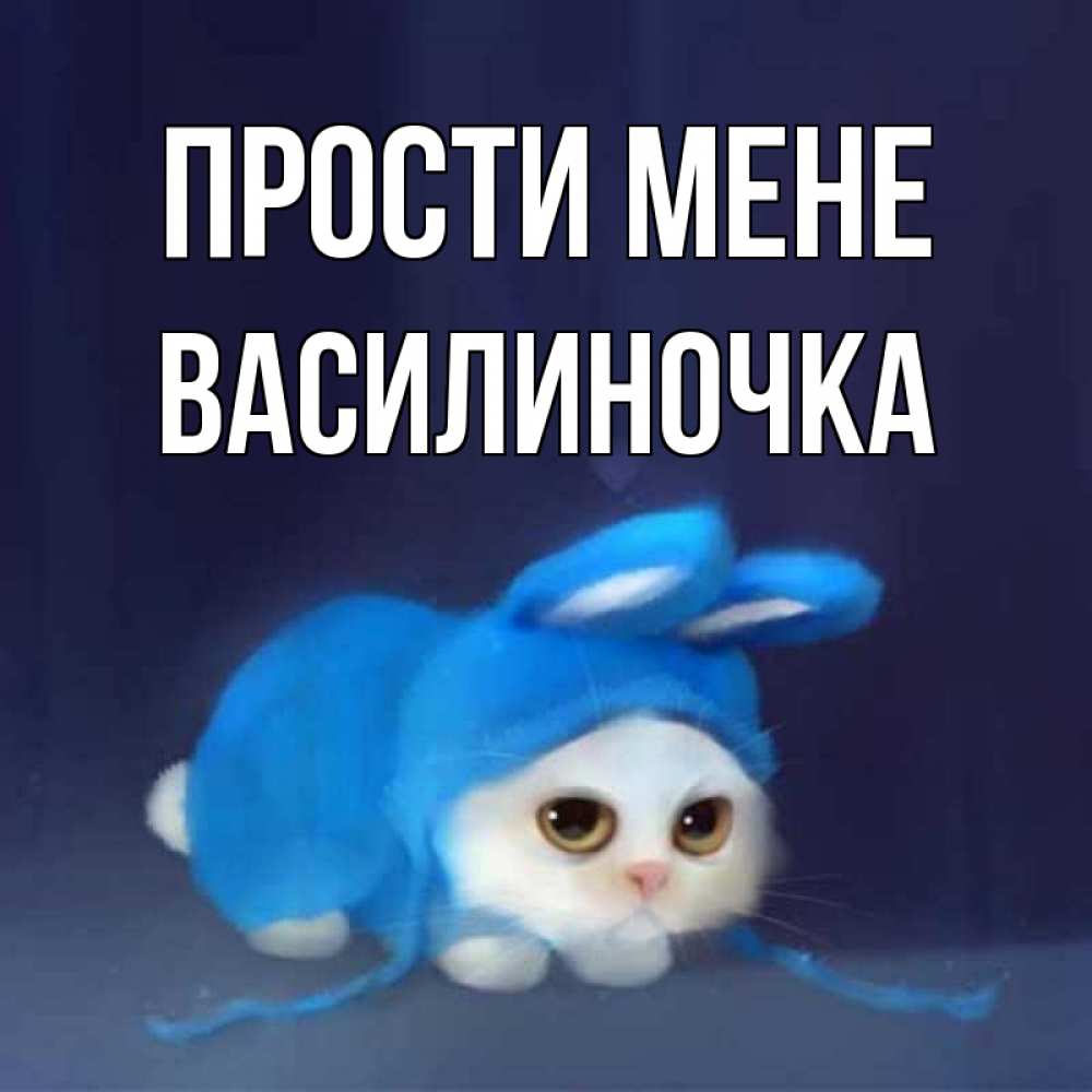 Открытка на каждый день з підписом, Василиночка Прости мене невинный котозай просит прощения Прикольна листівка з побажанням онлайн скачати безкоштовно 