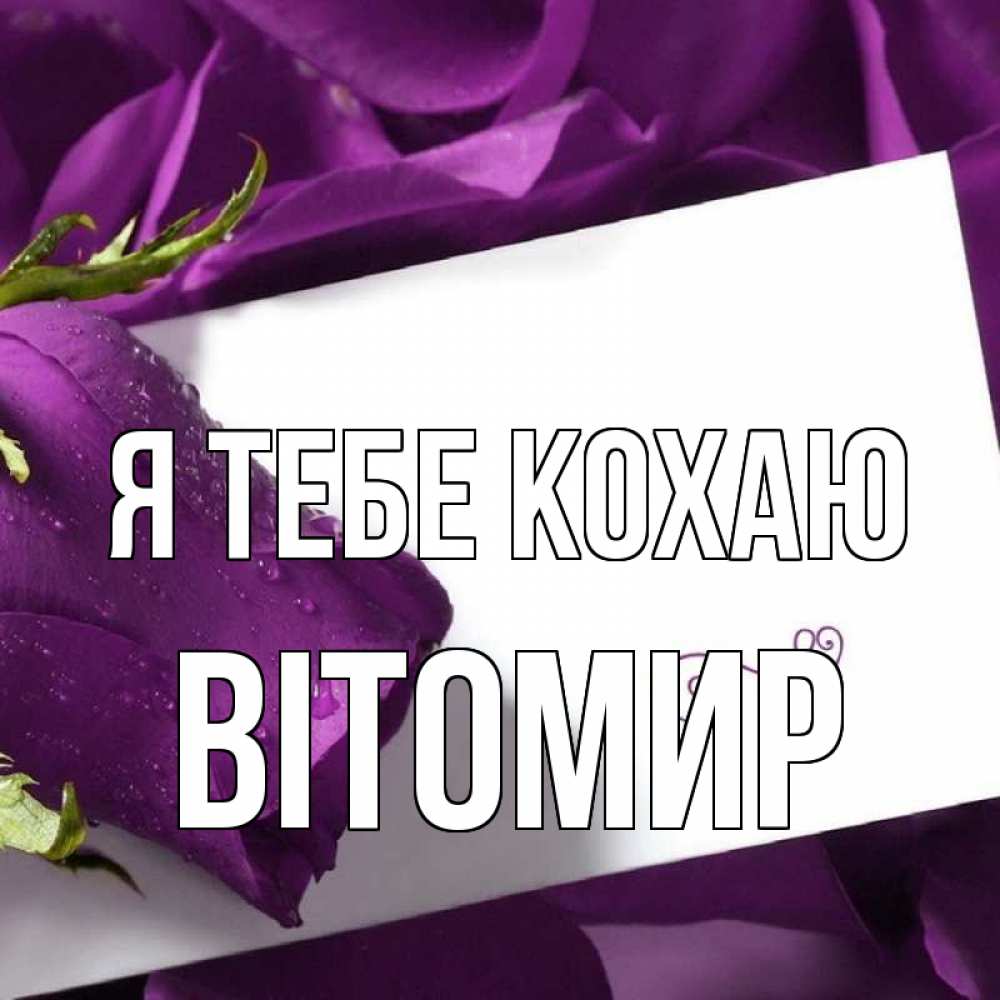 Открытка на каждый день з підписом, Вітомир Я тебе кохаю роза Прикольна листівка з побажанням онлайн скачати безкоштовно 