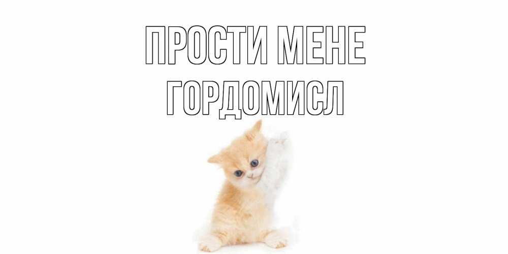 Открытка на каждый день з підписом, Гордомисл Прости мене кот Прикольна листівка з побажанням онлайн скачати безкоштовно 