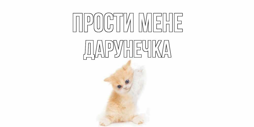 Открытка на каждый день з підписом, Дарунечка Прости мене кот Прикольна листівка з побажанням онлайн скачати безкоштовно 