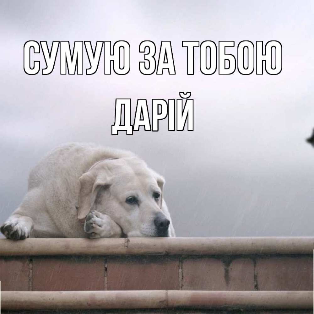 Открытка на каждый день з підписом, Дарій Сумую за тобою ждет Прикольна листівка з побажанням онлайн скачати безкоштовно 