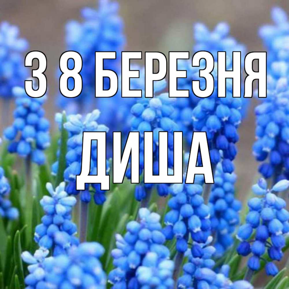 Открытка на каждый день з підписом, Диша З 8 БЕРЕЗНЯ Поздравительная открытка для женщин с цветами на праздничную дату Прикольна листівка з побажанням онлайн скачати безкоштовно 