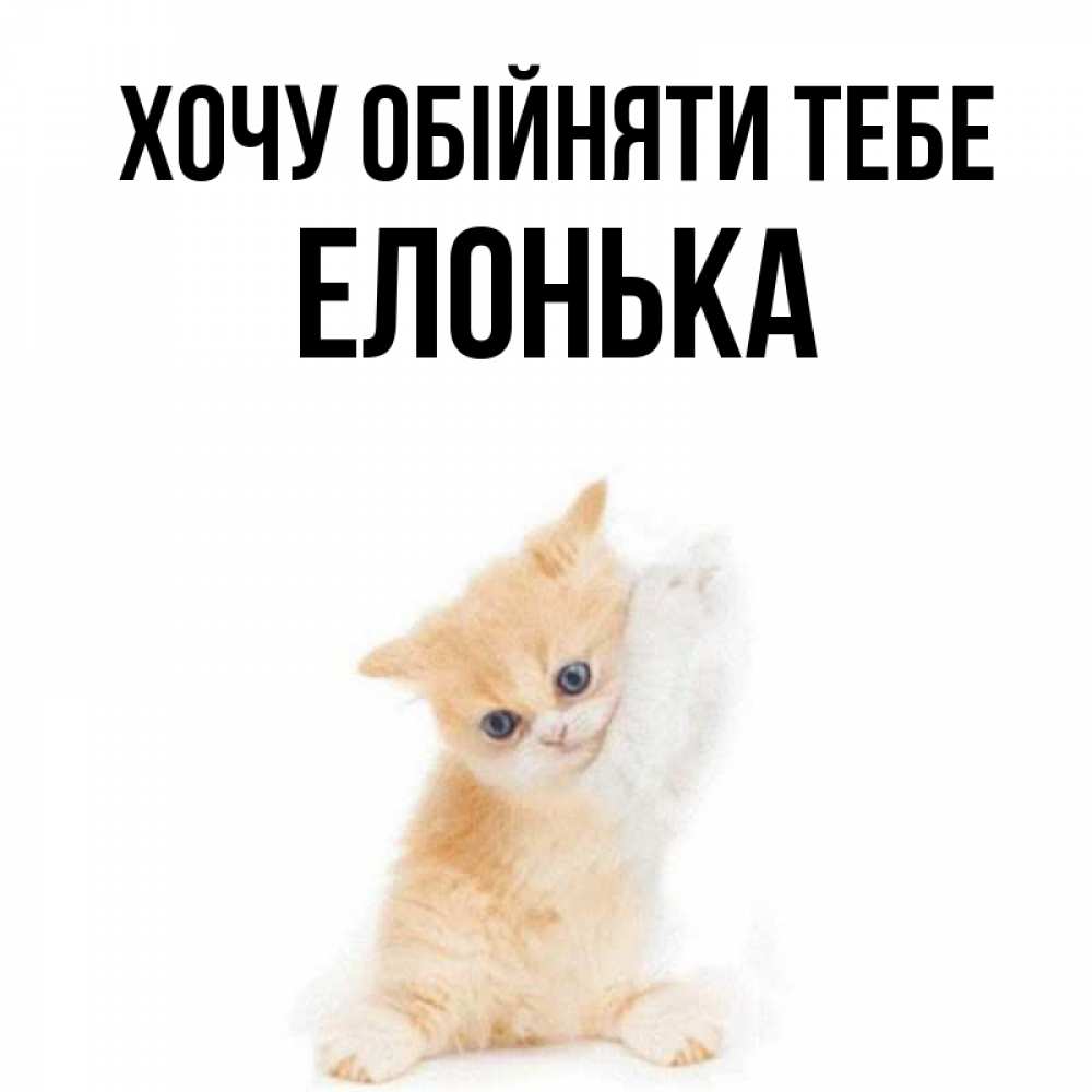 Открытка на каждый день з підписом, Елонька Хочу обійняти тебе я хочу очень скорее обнимаешек Прикольна листівка з побажанням онлайн скачати безкоштовно 