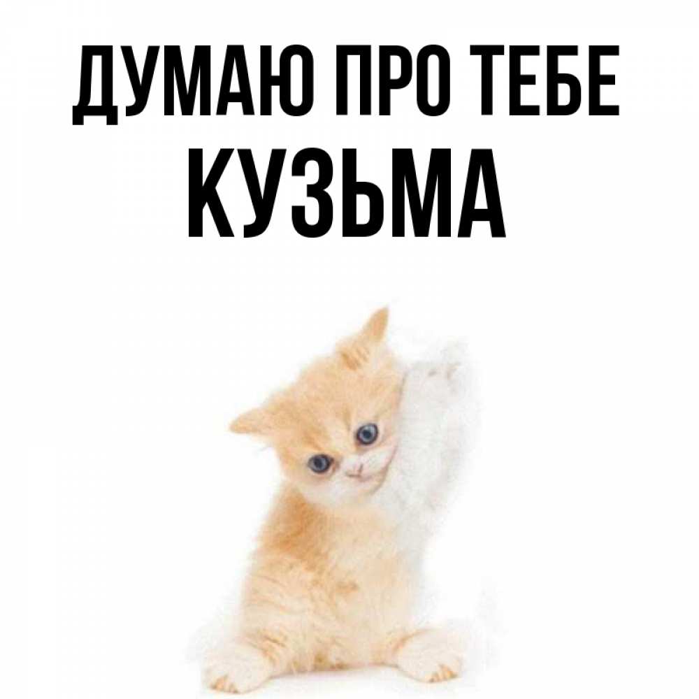 Открытка на каждый день з підписом, Кузьма Думаю про тебе зверушки и милота Прикольна листівка з побажанням онлайн скачати безкоштовно 