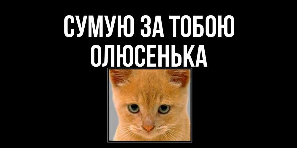 Открытка на каждый день з підписом, Олюсенька Сумую за тобою открытки рыжий котенок скучает по тебе Прикольна листівка з побажанням онлайн скачати безкоштовно 