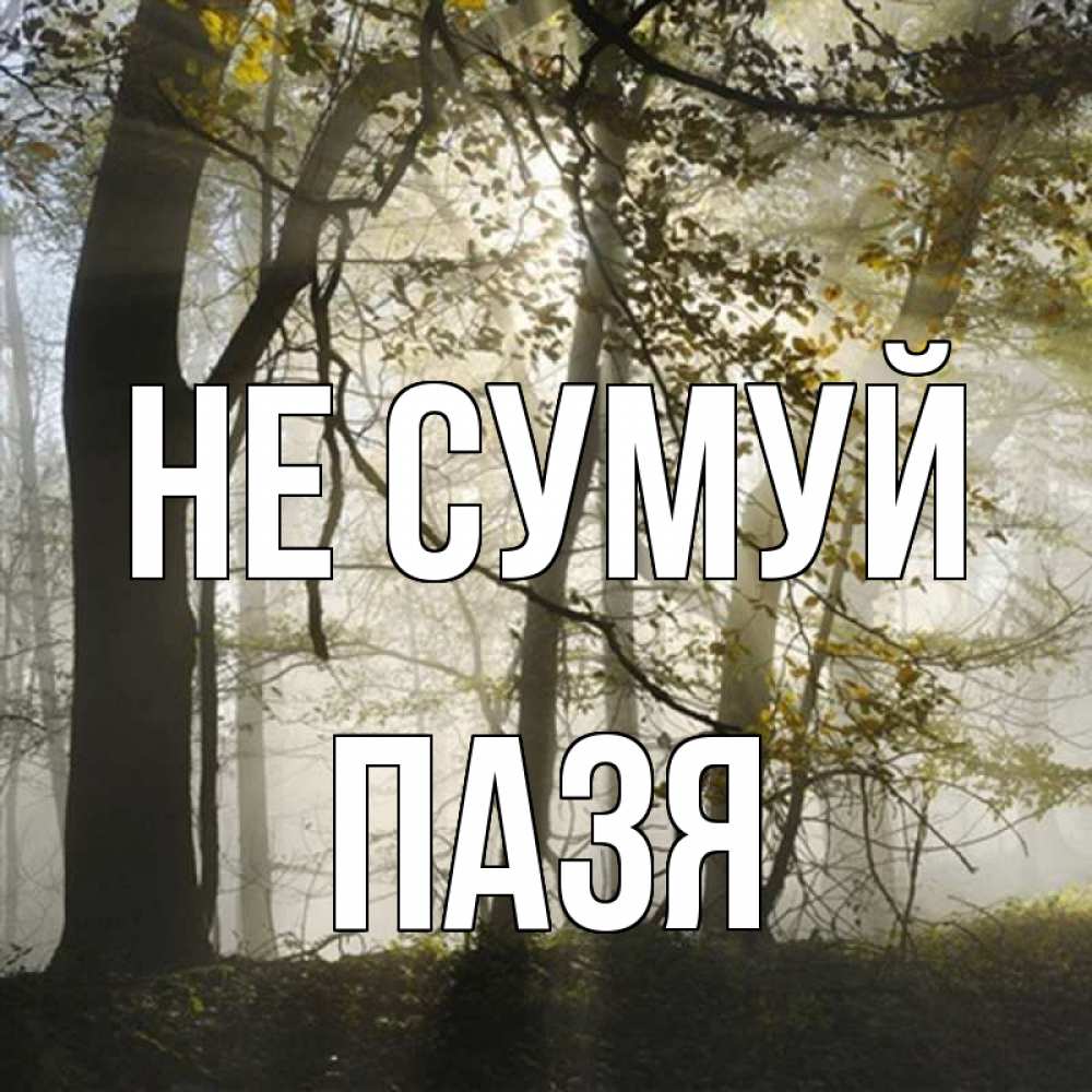 Открытка на каждый день з підписом, Пазя Не сумуй лес и свет Прикольна листівка з побажанням онлайн скачати безкоштовно 