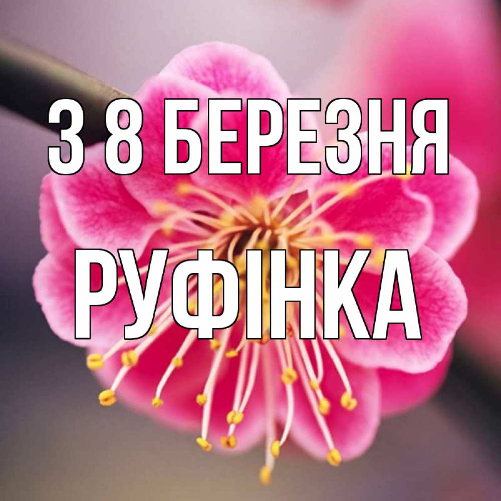 Открытка на каждый день з підписом, Руфінка З 8 БЕРЕЗНЯ цветы Прикольна листівка з побажанням онлайн скачати безкоштовно 