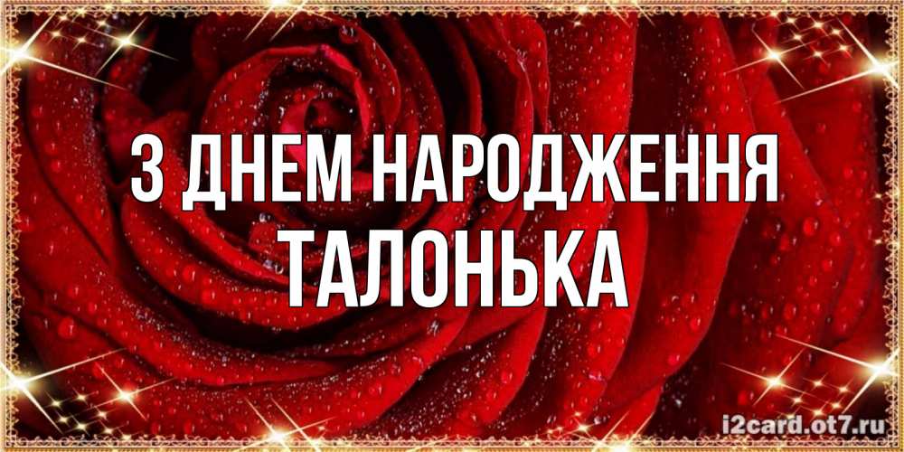 Открытка на каждый день з підписом, Талонька З Днем народження роса на розе блестящая в лучах солнца Прикольна листівка з побажанням онлайн скачати безкоштовно 