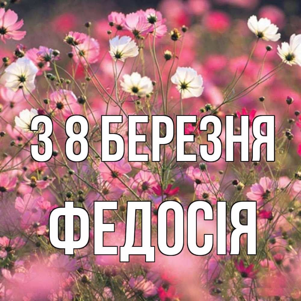 Открытка на каждый день з підписом, Федосія З 8 БЕРЕЗНЯ красиво 1 Прикольна листівка з побажанням онлайн скачати безкоштовно 