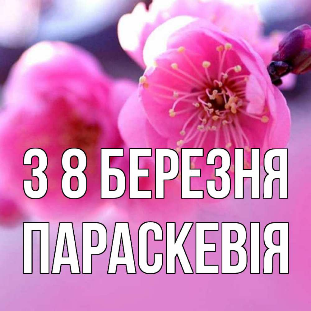 Открытка на каждый день з підписом, Параскевія З 8 БЕРЕЗНЯ международный женский день Прикольна листівка з побажанням онлайн скачати безкоштовно 