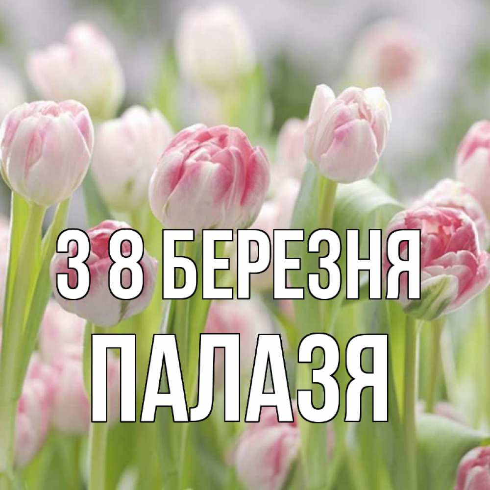 Открытка на каждый день з підписом, Палазя З 8 БЕРЕЗНЯ цветы Прикольна листівка з побажанням онлайн скачати безкоштовно 