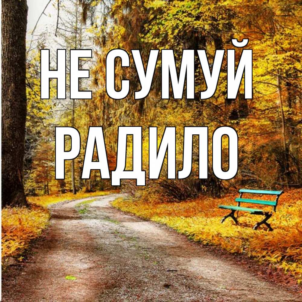 Открытка на каждый день з підписом, Радило Не сумуй зеленая лавочка Прикольна листівка з побажанням онлайн скачати безкоштовно 