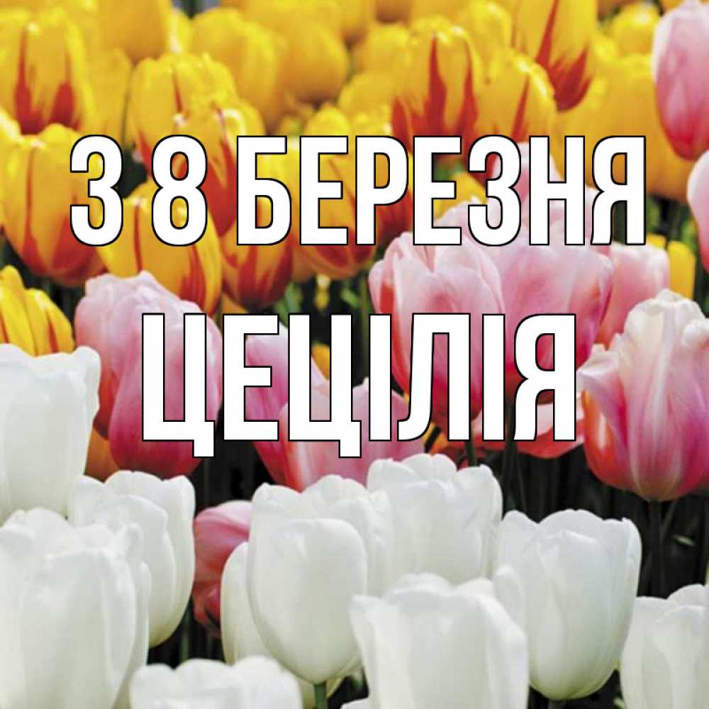 Открытка на каждый день з підписом, Цецілія З 8 БЕРЕЗНЯ разноцветные цветы Прикольна листівка з побажанням онлайн скачати безкоштовно 
