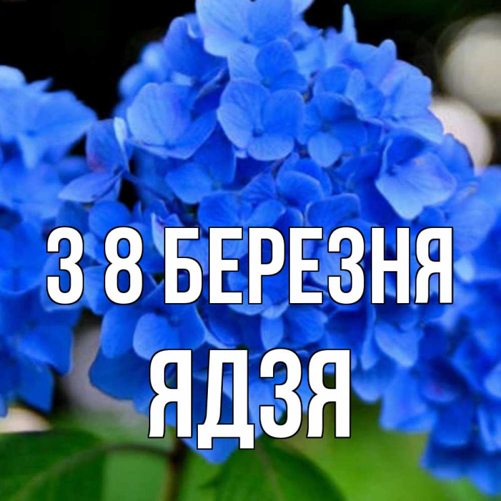 Открытка на каждый день з підписом, Ядзя З 8 БЕРЕЗНЯ синие цветы Прикольна листівка з побажанням онлайн скачати безкоштовно 