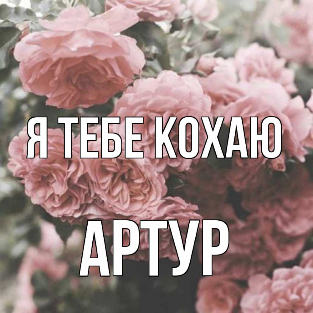 Открытка на каждый день з підписом, Артур Я тебе кохаю розы 3 Прикольна листівка з побажанням онлайн скачати безкоштовно 