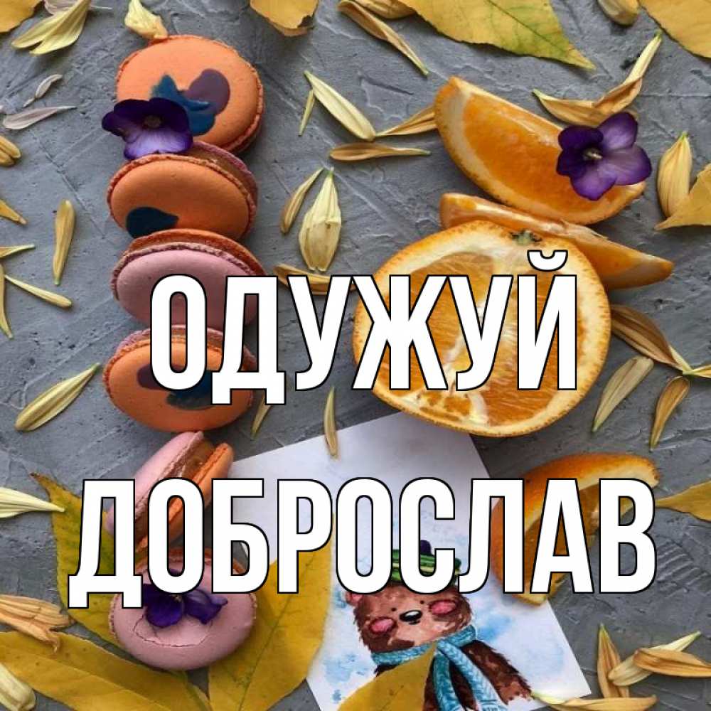 Открытка на каждый день з підписом, Доброслав Одужуй не болейте Прикольна листівка з побажанням онлайн скачати безкоштовно 