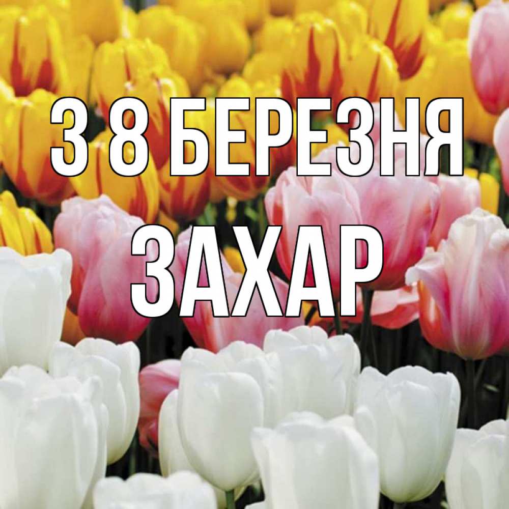 Открытка на каждый день з підписом, Захар З 8 БЕРЕЗНЯ разноцветные цветы Прикольна листівка з побажанням онлайн скачати безкоштовно 