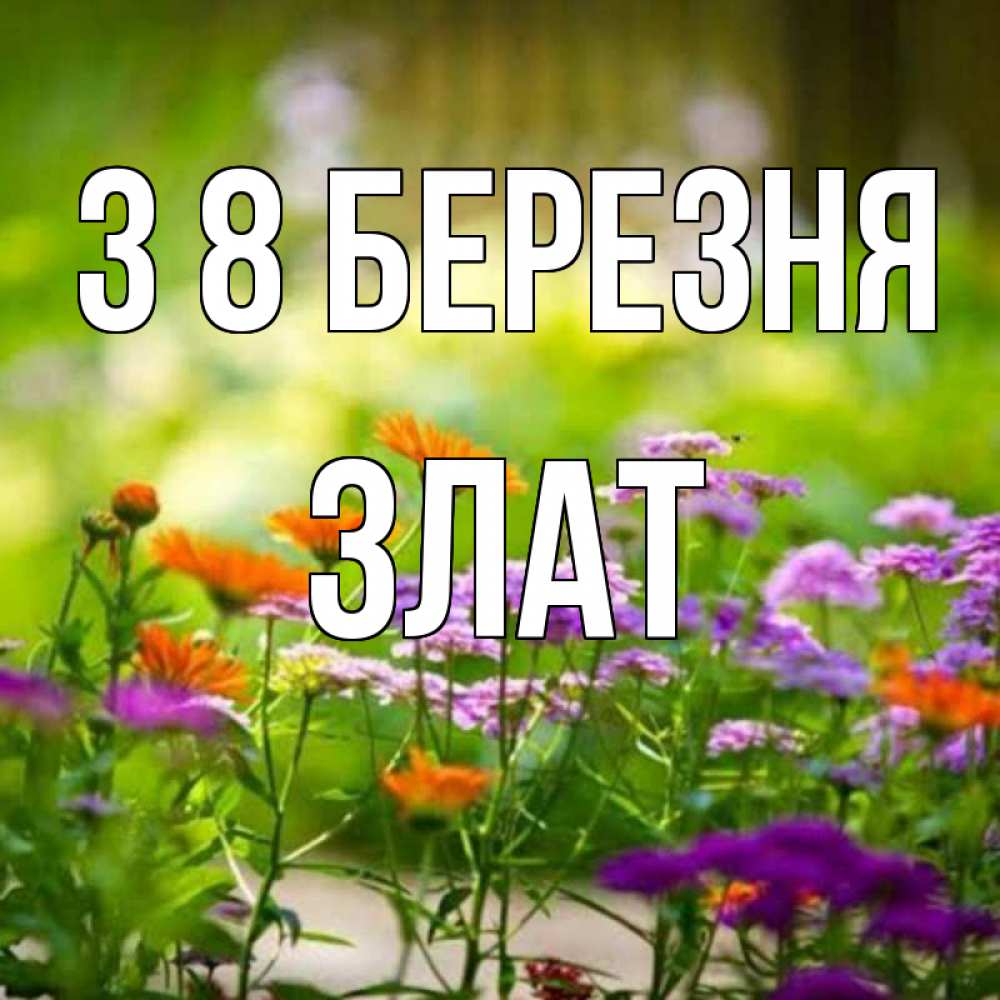 Открытка на каждый день з підписом, Злат З 8 БЕРЕЗНЯ цветы Прикольна листівка з побажанням онлайн скачати безкоштовно 