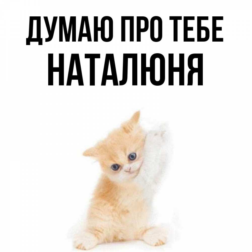 Открытка на каждый день з підписом, Наталюня Думаю про тебе зверушки и милота Прикольна листівка з побажанням онлайн скачати безкоштовно 
