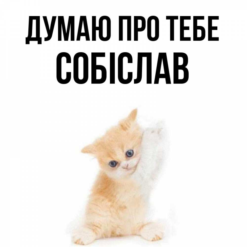 Открытка на каждый день з підписом, Собіслав Думаю про тебе зверушки и милота Прикольна листівка з побажанням онлайн скачати безкоштовно 