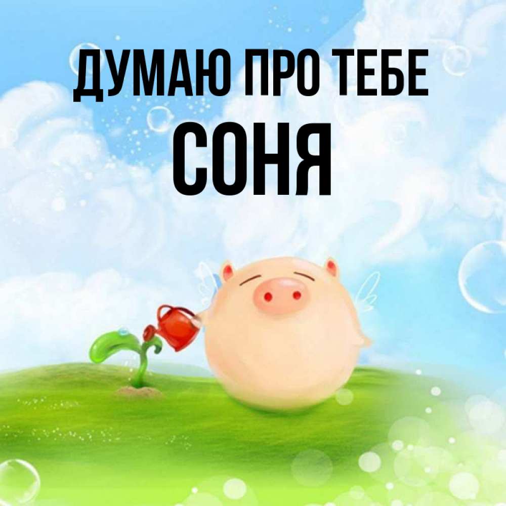 Открытка на каждый день з підписом, Соня Думаю про тебе позитивная свинюшка Прикольна листівка з побажанням онлайн скачати безкоштовно 