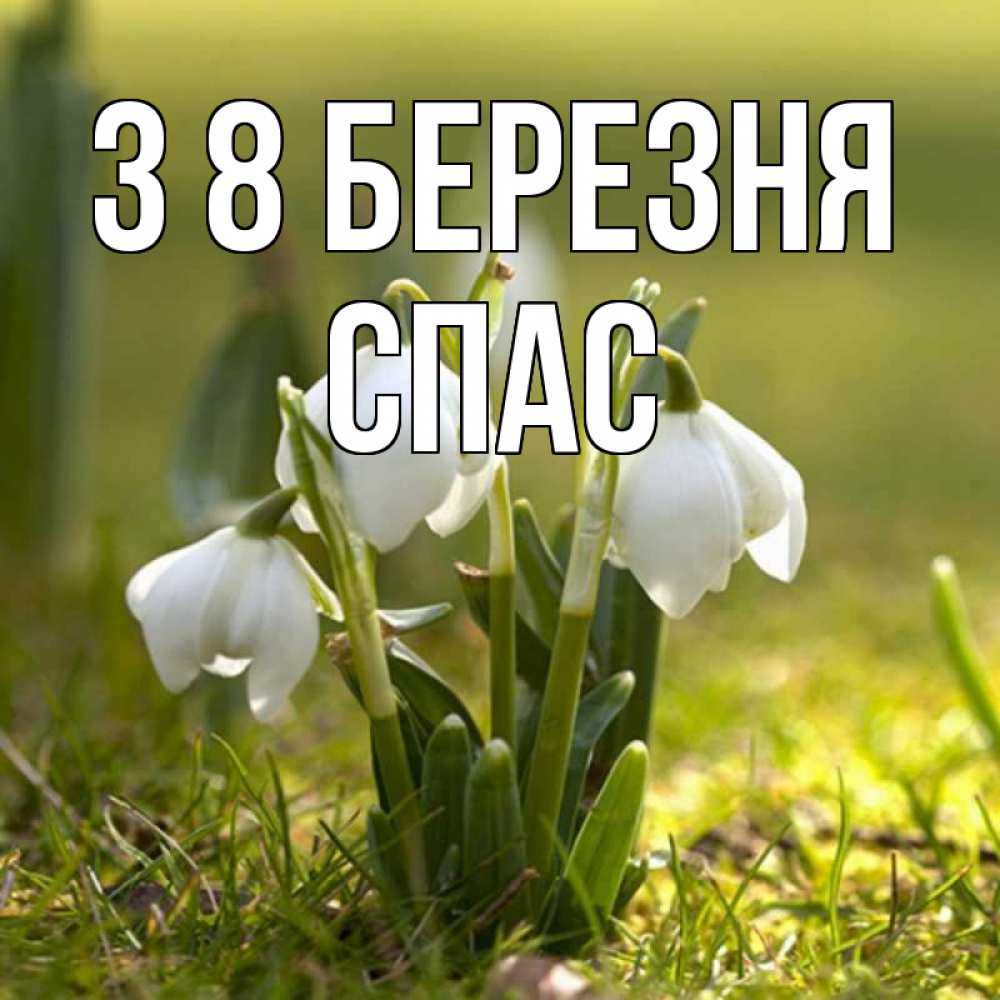 Открытка на каждый день з підписом, Спас З 8 БЕРЕЗНЯ ранние цветы 2 Прикольна листівка з побажанням онлайн скачати безкоштовно 