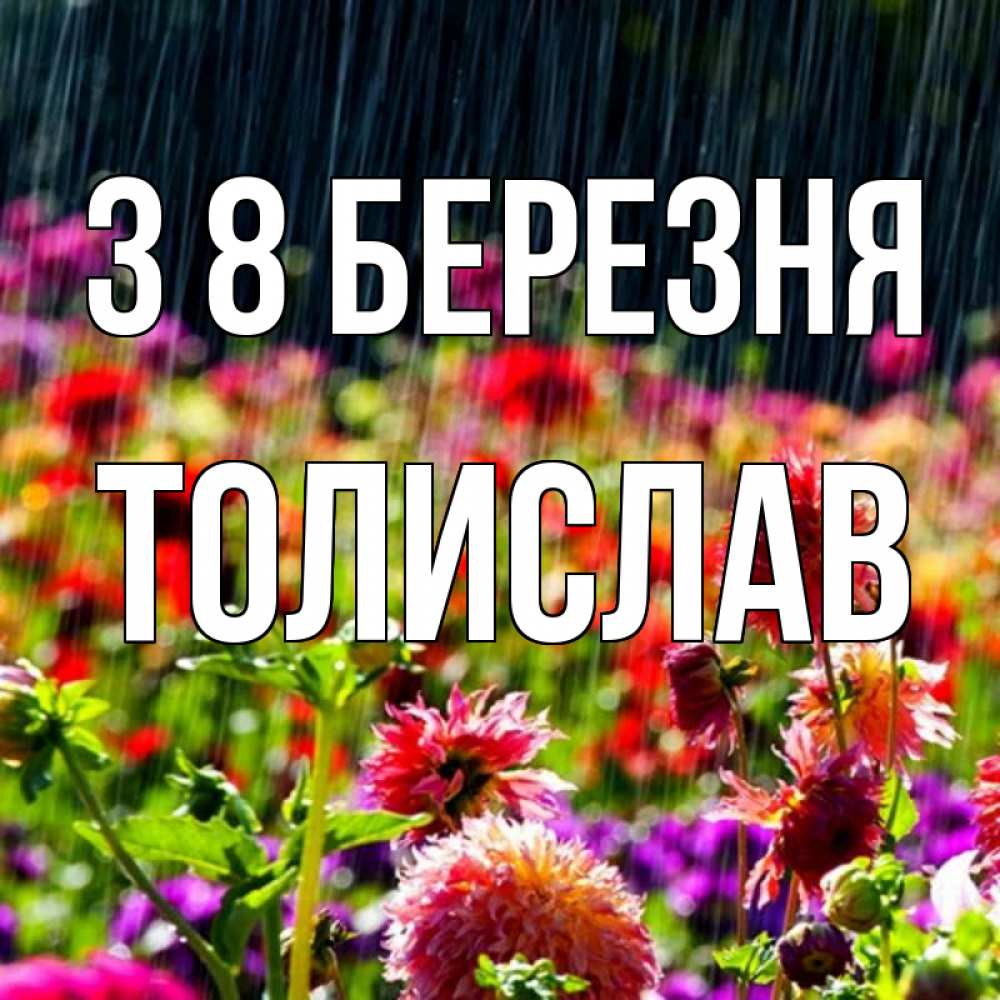 Открытка на каждый день з підписом, Толислав З 8 БЕРЕЗНЯ цветы под дождиком к международному женскому дню Прикольна листівка з побажанням онлайн скачати безкоштовно 