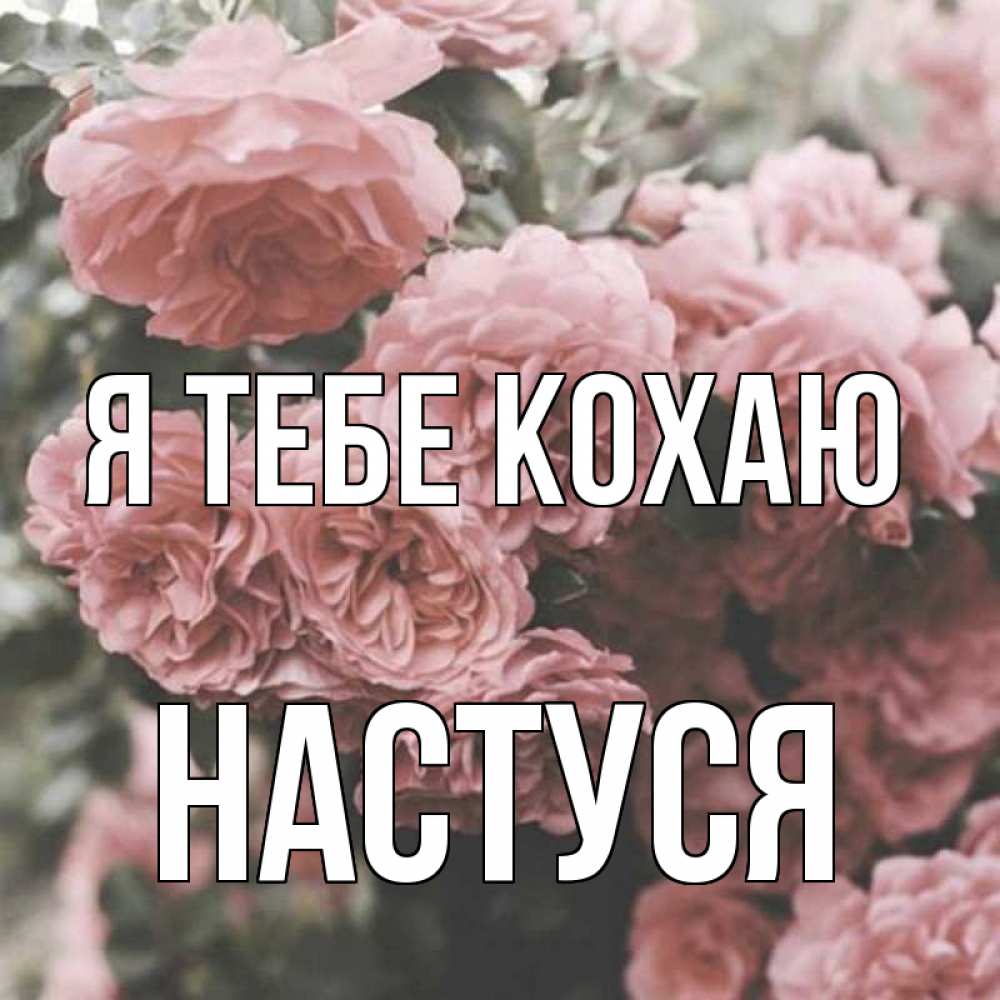 Открытка на каждый день з підписом, Настуся Я тебе кохаю розы 3 Прикольна листівка з побажанням онлайн скачати безкоштовно 