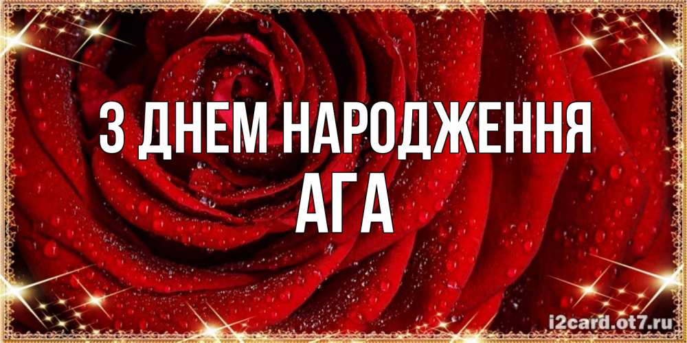 Открытка на каждый день з підписом, Ага З Днем народження роса на розе блестящая в лучах солнца Прикольна листівка з побажанням онлайн скачати безкоштовно 