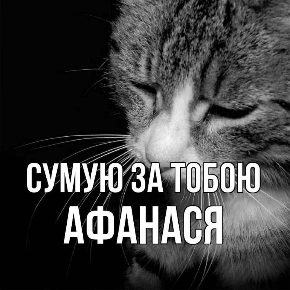 Открытка на каждый день з підписом, Афанася Сумую за тобою мне скучно Прикольна листівка з побажанням онлайн скачати безкоштовно 