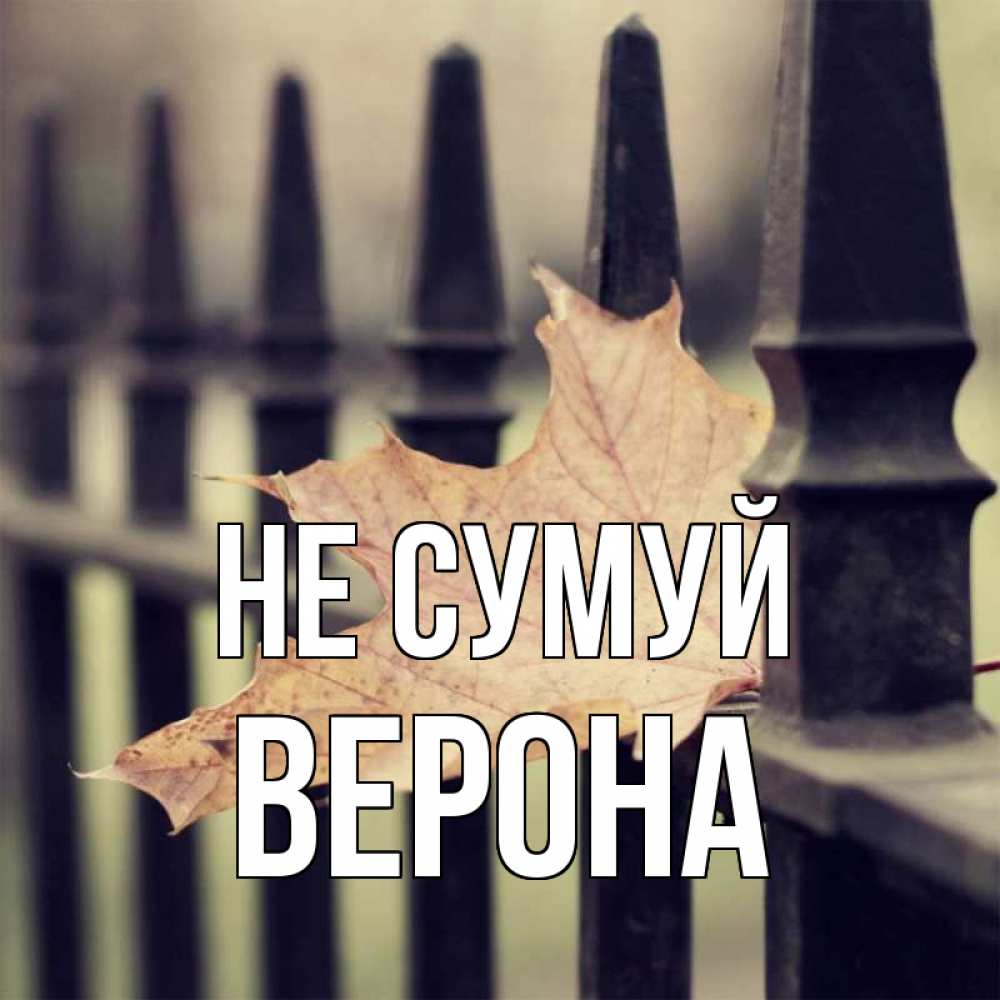 Открытка на каждый день з підписом, Верона Не сумуй лист клена Прикольна листівка з побажанням онлайн скачати безкоштовно 