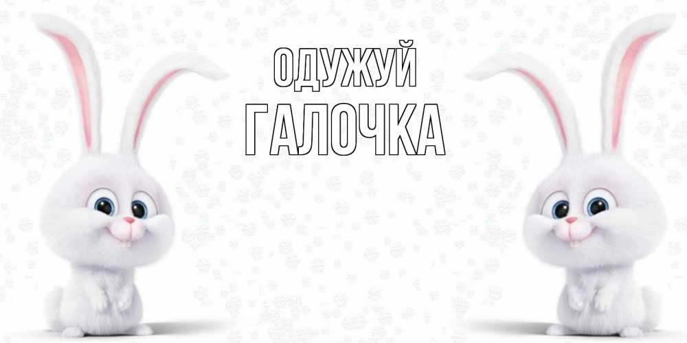 Открытка на каждый день з підписом, Галочка Одужуй не болей с зайцем Прикольна листівка з побажанням онлайн скачати безкоштовно 