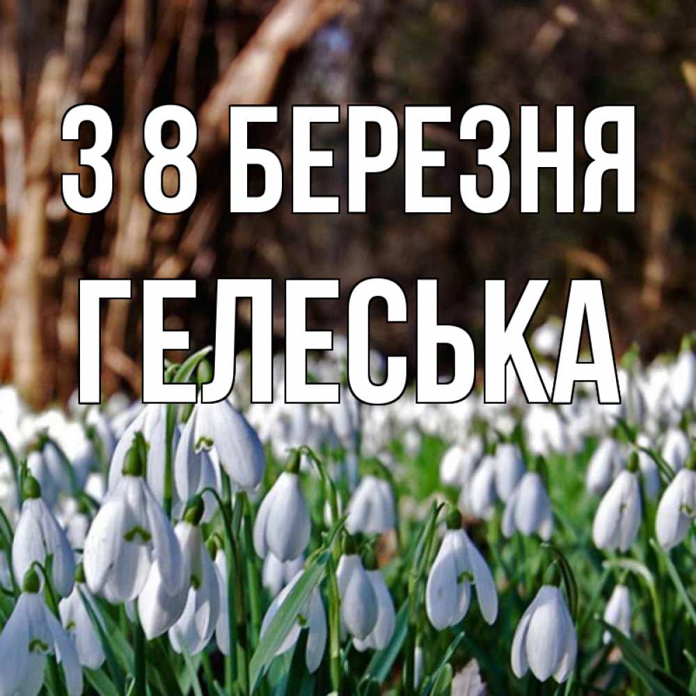 Открытка на каждый день з підписом, Гелеська З 8 БЕРЕЗНЯ с подснежниками 1 Прикольна листівка з побажанням онлайн скачати безкоштовно 