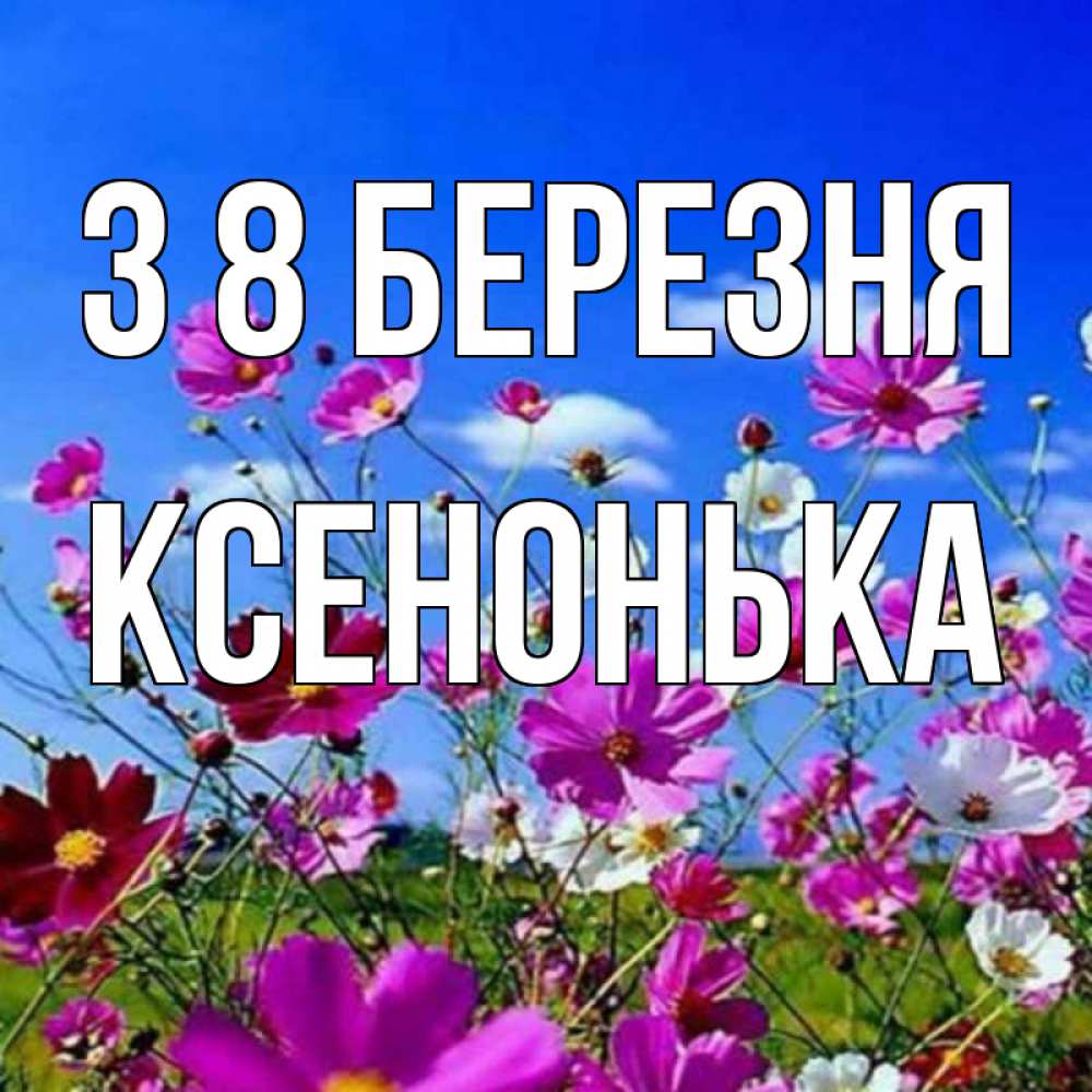 Открытка на каждый день з підписом, Ксенонька З 8 БЕРЕЗНЯ цветы Прикольна листівка з побажанням онлайн скачати безкоштовно 