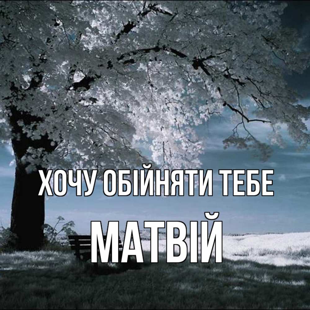 Открытка на каждый день з підписом, Матвій Хочу обійняти тебе дерево Прикольна листівка з побажанням онлайн скачати безкоштовно 
