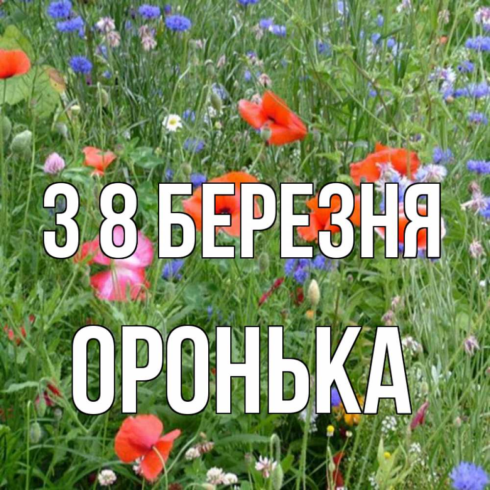 Открытка на каждый день з підписом, Оронька З 8 БЕРЕЗНЯ международный женский день 4 Прикольна листівка з побажанням онлайн скачати безкоштовно 