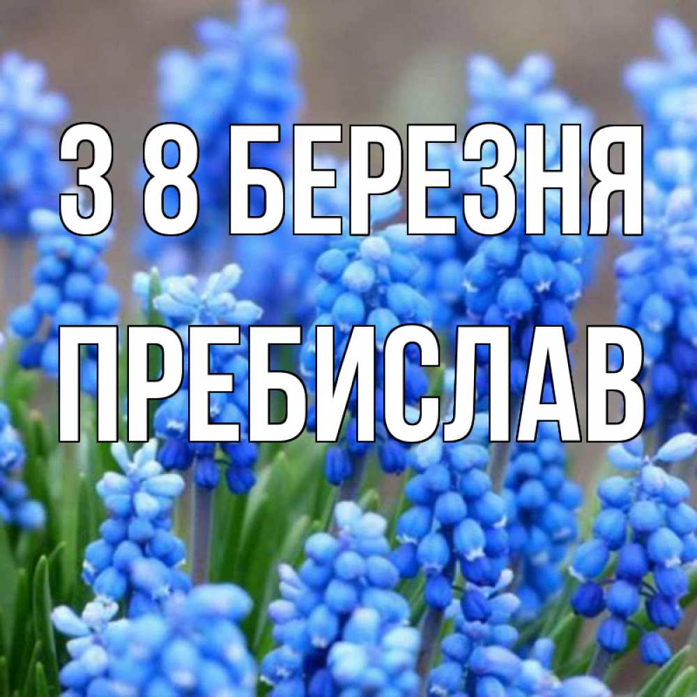 Открытка на каждый день з підписом, Пребислав З 8 БЕРЕЗНЯ Поздравительная открытка для женщин с цветами на праздничную дату Прикольна листівка з побажанням онлайн скачати безкоштовно 