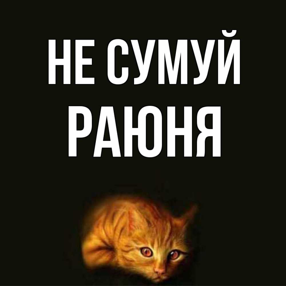 Открытка на каждый день з підписом, Раюня Не сумуй лежащий кот в темноте Прикольна листівка з побажанням онлайн скачати безкоштовно 