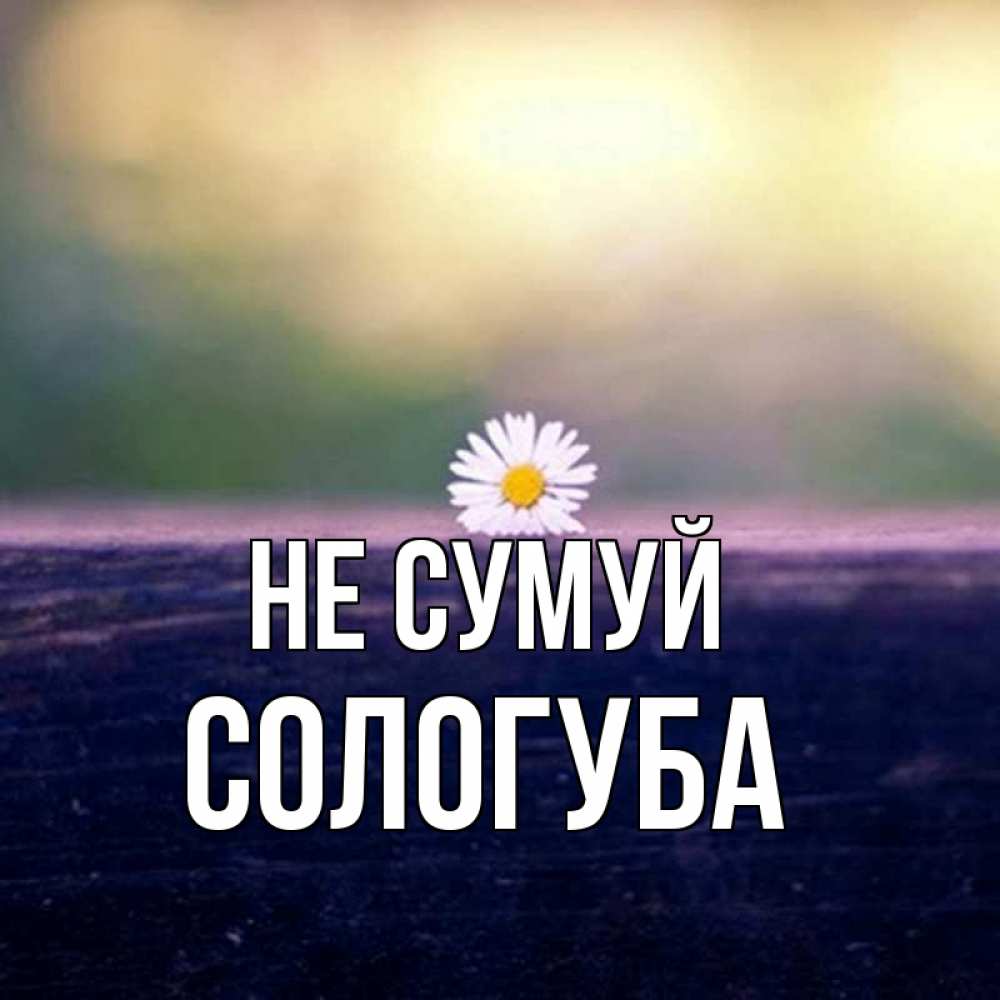 Открытка на каждый день з підписом, Сологуба Не сумуй красота Прикольна листівка з побажанням онлайн скачати безкоштовно 