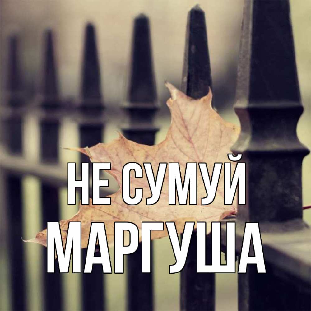 Открытка на каждый день з підписом, Маргуша Не сумуй лист клена Прикольна листівка з побажанням онлайн скачати безкоштовно 